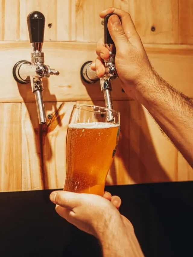 Manual-cerveza-artesanal-producto