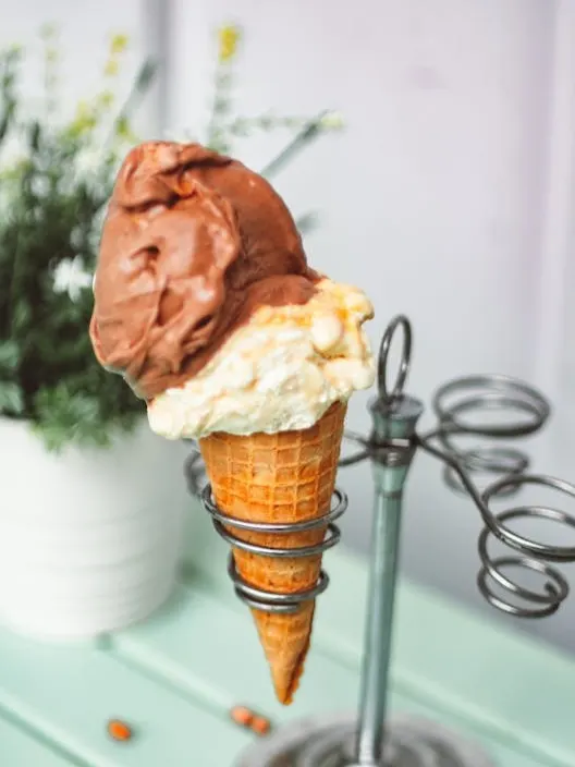 helado-vegano-sinlactosa-producto