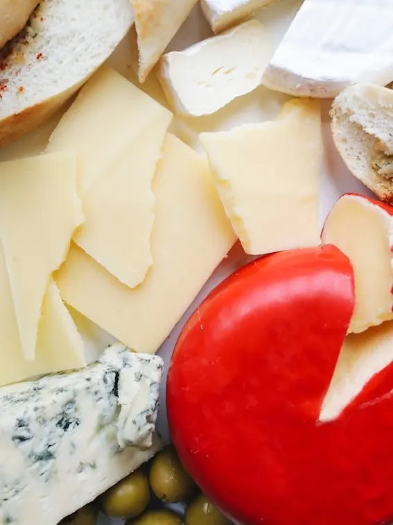 manual-quesos-indutrial-producto